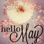Hello May Flower Pics
