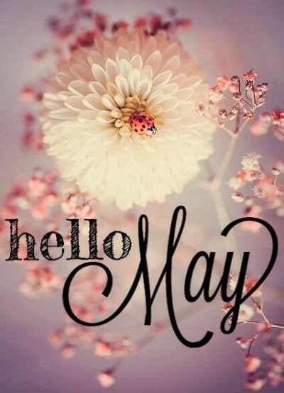 Hello May Flower Pics