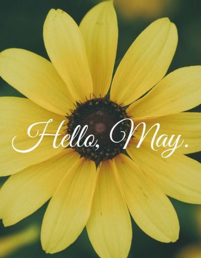 Hello May Quotes