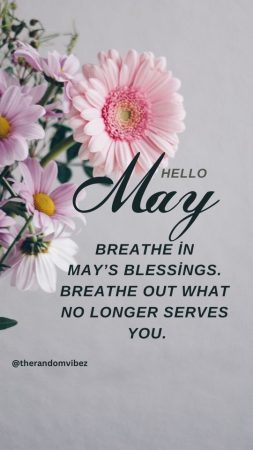 Hello May Sayings