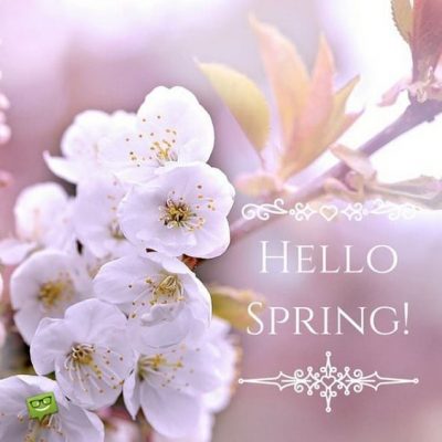 Hello Spring