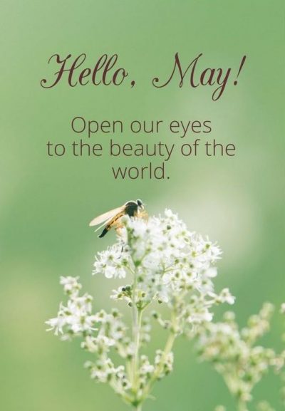 Sweet May Sayings