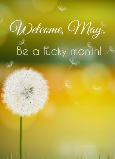 Welcome May Background Pic