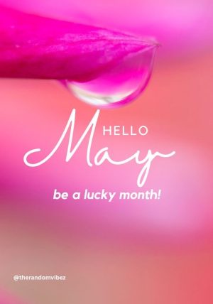 hello may images