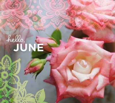 Hello June Floral Pic