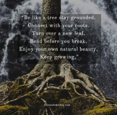 Strong Roots Quotes Images