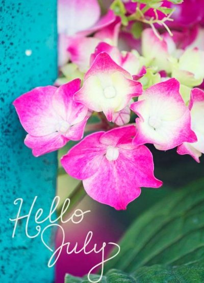 Hello July Floral Pic