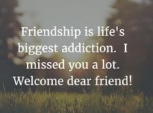 Quotes on Welcome Back