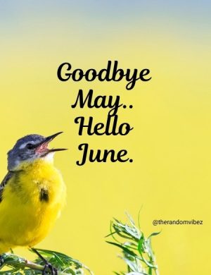 june pictures