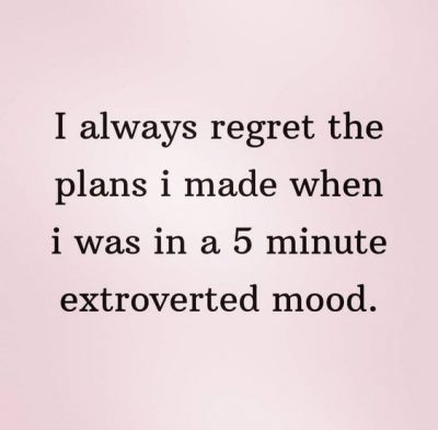 Funny Introvert Quotes