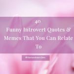 Funny Introvert Quotes and Sayings
