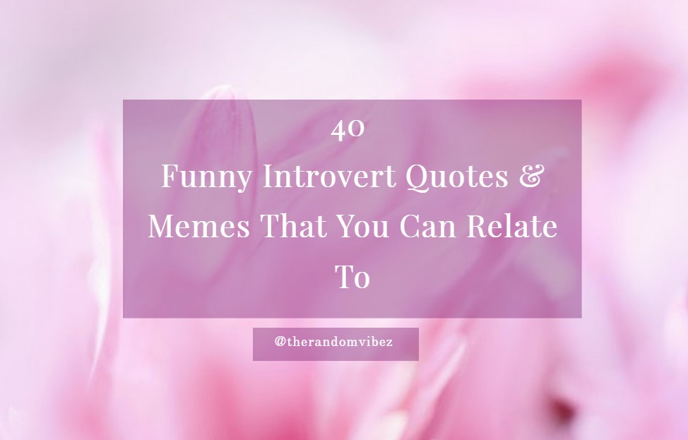 Funny Introvert Quotes and Sayings