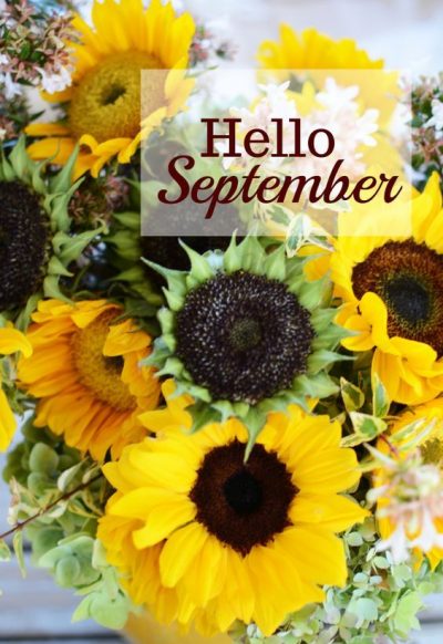 Hello September Flower Pics