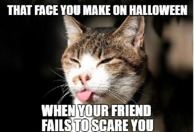 Happy Halloween Cat Pictures