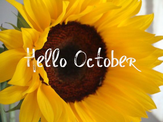 Hello October Flower Pics