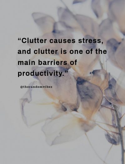 Mind Clutter Quotes