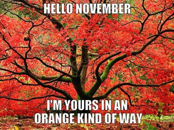 60 Hello November Images, Pictures, Quotes And Pics [2022]