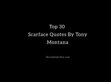 Top 30 Scarface Quotes By Tony Montana