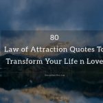 Top Law of Attraction Quotes