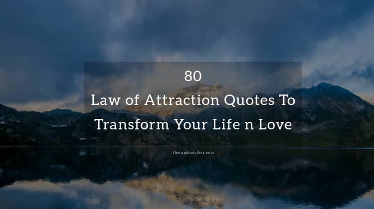 Top Law of Attraction Quotes