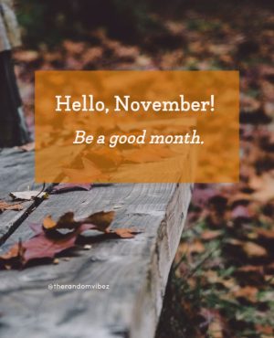 beautiful hello november