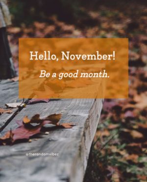 beautiful hello november