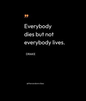 famous drake quotes