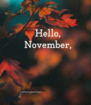 hello november