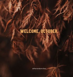 hello october quotes