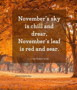 quotes about november