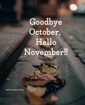 welcome november