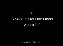 35 Really Funny One Liners About Life