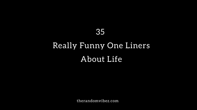 35 Really Funny One Liners About Life | The Random Vibez