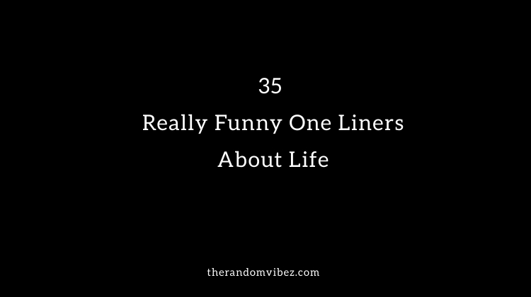 35 Really Funny One Liners About Life The Random Vibez