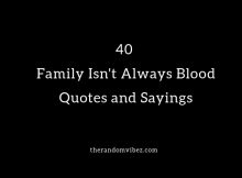 40 Family Isn't Always Blood Quotes and Sayings