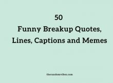 50 Funny Breakup Quotes, Lines, Captions and Memes
