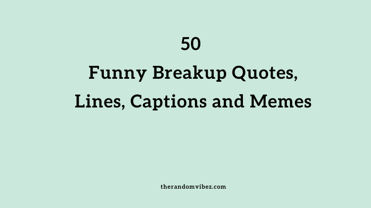 50 Funny Breakup Quotes, Lines, Captions and Memes