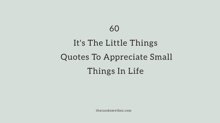 60 It S The Little Things Quotes To Appreciate Small Things In Life