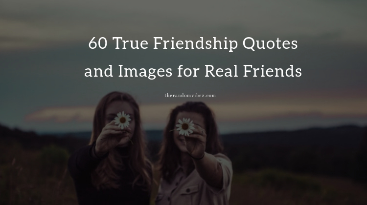 60 True Friendship Quotes and Images