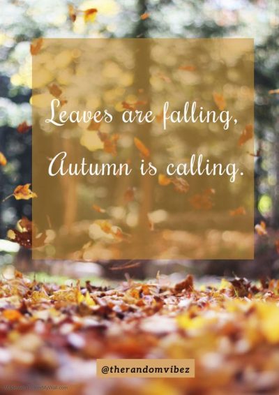 Autumn Quotes for Kids