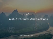 Best Fresh Air Quotes And Sayings