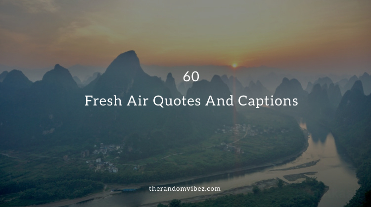 Best Fresh Air Quotes And Sayings