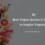 Best Vegan Quotes and Sayings