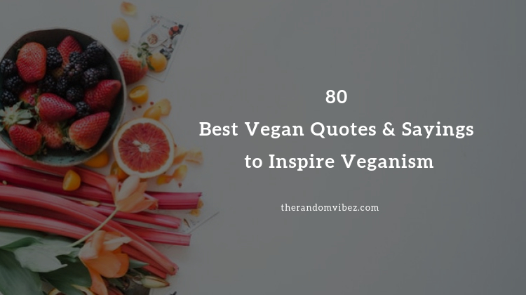 Best Vegan Quotes and Sayings