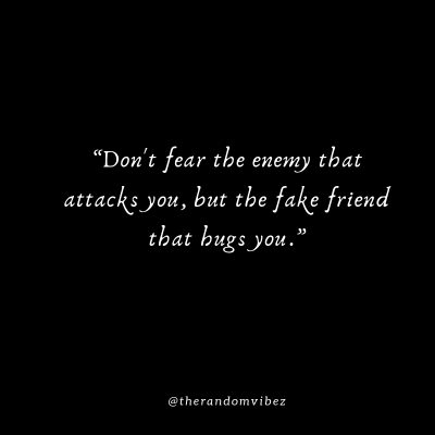 Friendship Backstabber Quotes