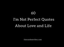 I'm Not Perfect Quotes and Images