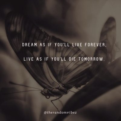 Inspirational If I Die Tomorrow Quotes