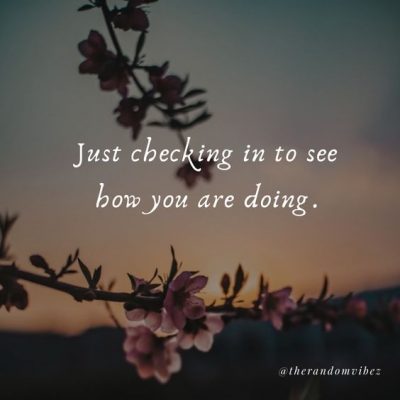 Just Checking On You Images