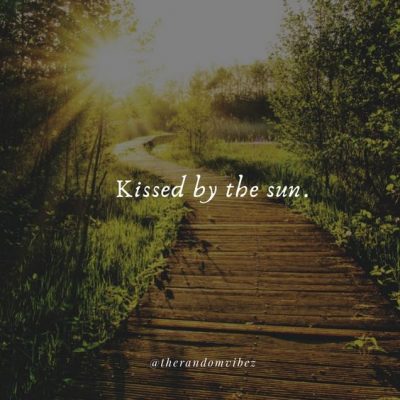 Quotes About Sun Kiss