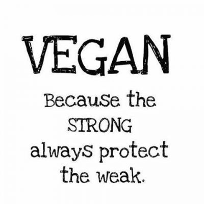 Vegan Quotes Images
